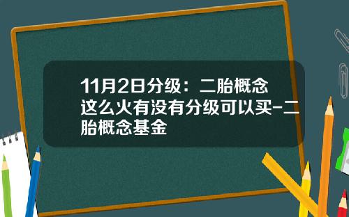 11月2日分级：二胎概念这么火有没有分级可以买-二胎概念基金