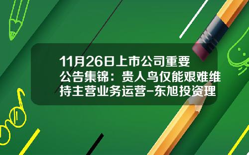 11月26日上市公司重要公告集锦：贵人鸟仅能艰难维持主营业务运营-东旭投资理财公司