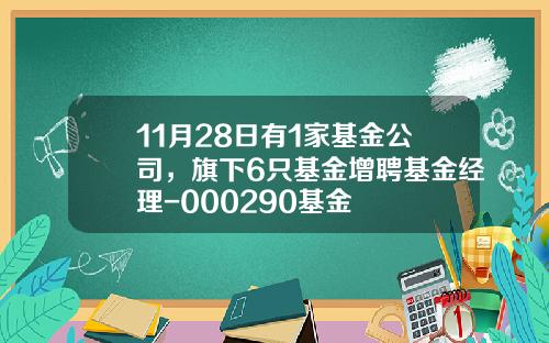 11月28日有1家基金公司，旗下6只基金增聘基金经理-000290基金