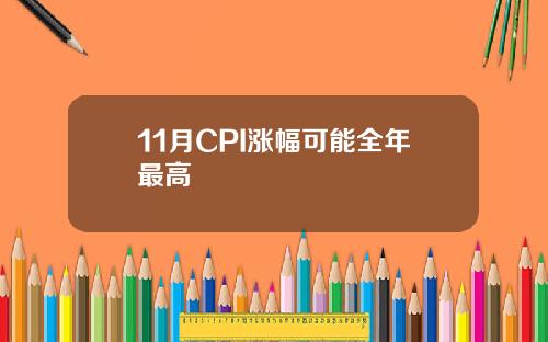 11月CPI涨幅可能全年最高