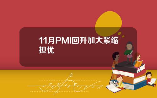 11月PMI回升加大紧缩担忧