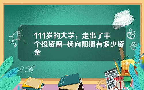 111岁的大学，走出了半个投资圈-杨向阳拥有多少资金