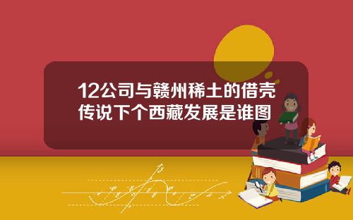 12公司与赣州稀土的借壳传说下个西藏发展是谁图