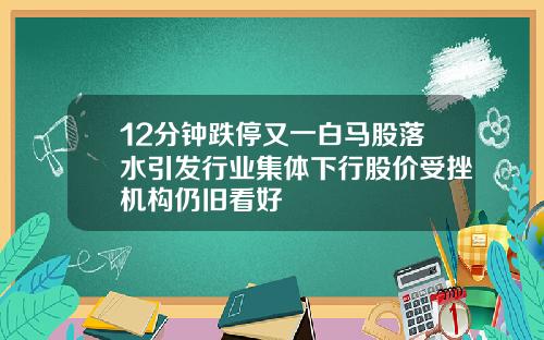 12分钟跌停又一白马股落水引发行业集体下行股价受挫机构仍旧看好