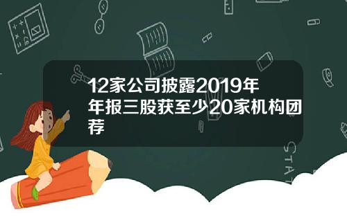 12家公司披露2019年年报三股获至少20家机构团荐