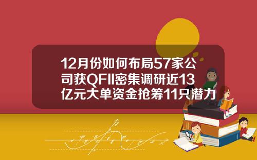 12月份如何布局57家公司获QFII密集调研近13亿元大单资金抢筹11只潜力股.