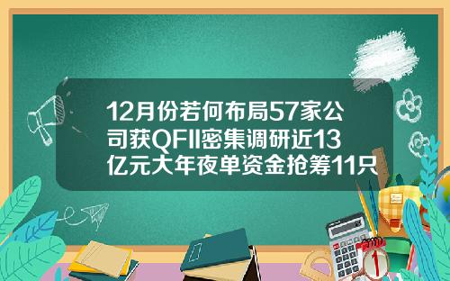 12月份若何布局57家公司获QFII密集调研近13亿元大年夜单资金抢筹11只潜力股.