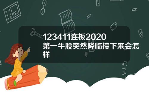 123411连板2020第一牛股突然降临接下来会怎样