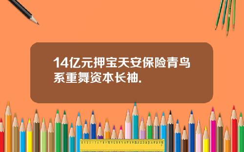 14亿元押宝天安保险青鸟系重舞资本长袖.