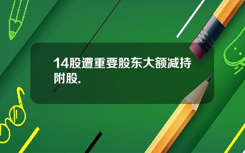 14股遭重要股东大额减持附股.