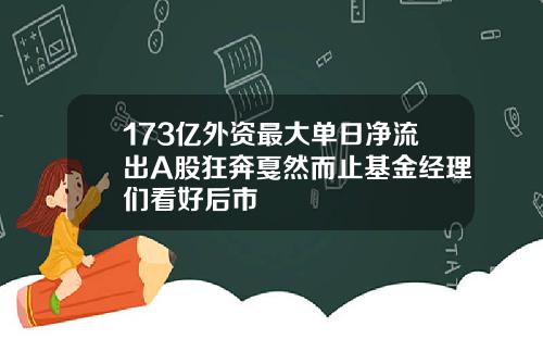 173亿外资最大单日净流出A股狂奔戛然而止基金经理们看好后市