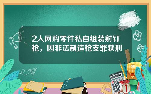 2人网购零件私自组装射钉枪,因非法制造枪支罪获刑