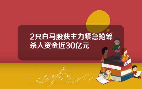 2只白马股获主力紧急抢筹杀入资金近30亿元