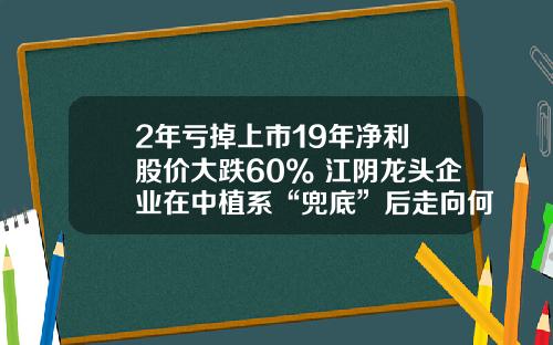 2年亏掉上市19年净利 股价大跌60% 江阴龙头企业在中植系“兜底”后走向何方？