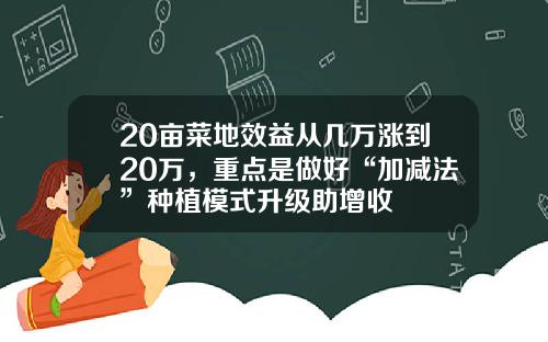 20亩菜地效益从几万涨到20万,重点是做好“加减法”种植模式升级助增收
