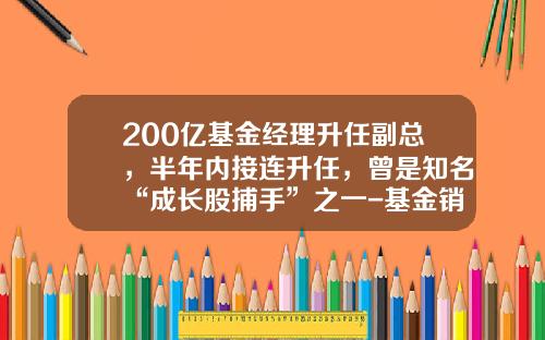 200亿基金经理升任副总，半年内接连升任，曾是知名“成长股捕手”之一-基金销售经理