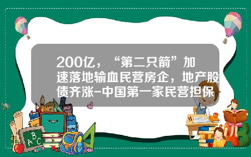 200亿，“第二只箭”加速落地输血民营房企，地产股债齐涨-中国第一家民营担保公司