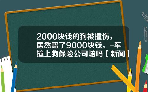 2000块钱的狗被撞伤，居然赔了9000块钱。-车撞上狗保险公司赔吗【新闻】