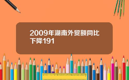 2009年湖南外贸额同比下降191