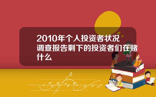 2010年个人投资者状况调查报告剩下的投资者们在赌什么