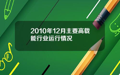 2010年12月主要高载能行业运行情况