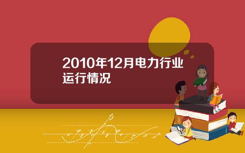 2010年12月电力行业运行情况