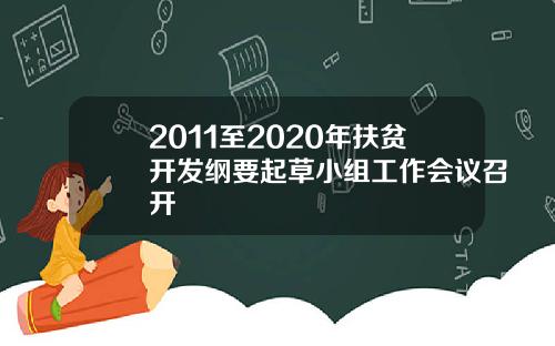 2011至2020年扶贫开发纲要起草小组工作会议召开
