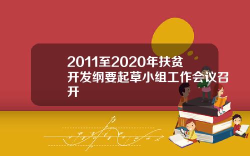 2011至2020年扶贫开发纲要起草小组工作会议召开