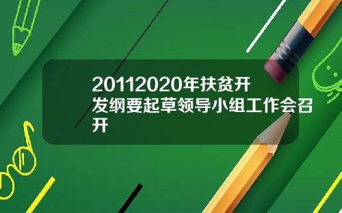 20112020年扶贫开发纲要起草领导小组工作会召开