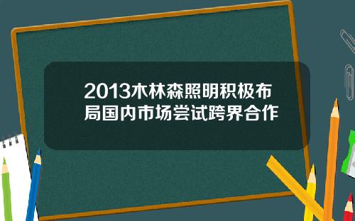 2013木林森照明积极布局国内市场尝试跨界合作