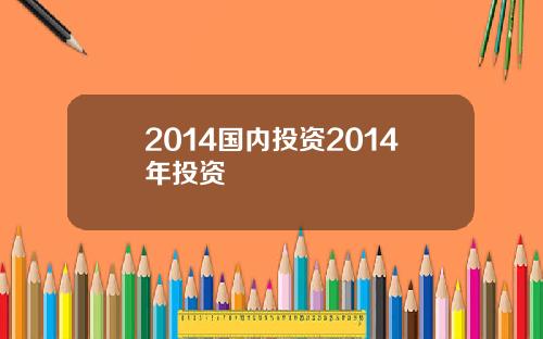 2014国内投资2014年投资