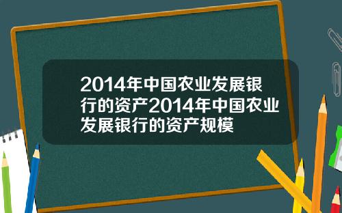 2014年中国农业发展银行的资产2014年中国农业发展银行的资产规模