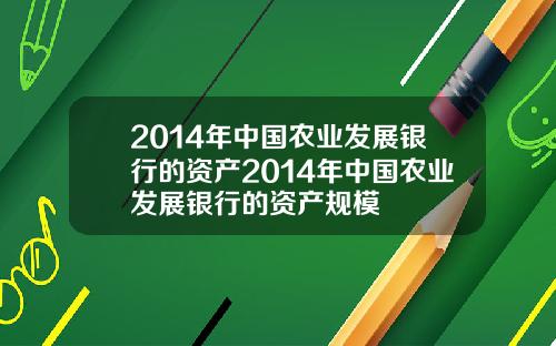 2014年中国农业发展银行的资产2014年中国农业发展银行的资产规模