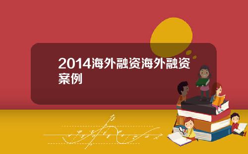 2014海外融资海外融资案例