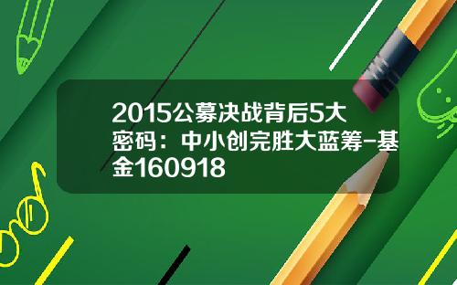 2015公募决战背后5大密码：中小创完胜大蓝筹-基金160918