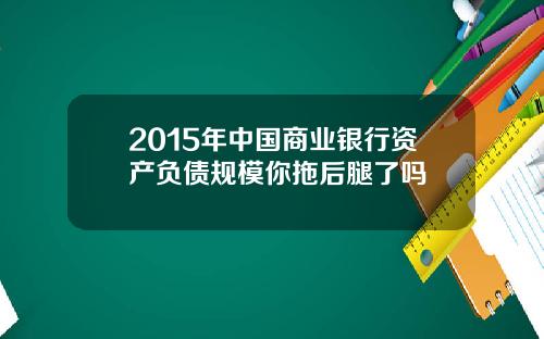 2015年中国商业银行资产负债规模你拖后腿了吗