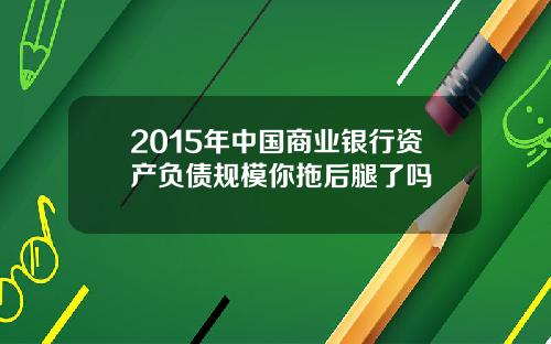 2015年中国商业银行资产负债规模你拖后腿了吗
