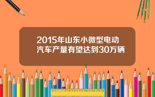 2015年山东小微型电动汽车产量有望达到30万辆
