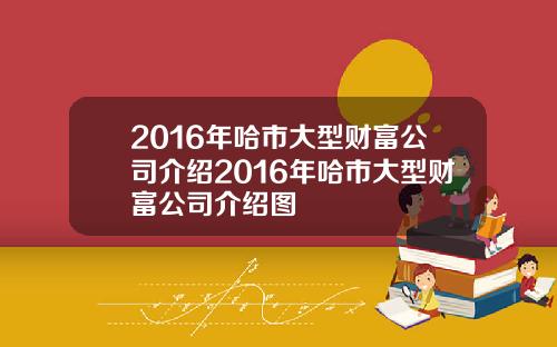 2016年哈市大型财富公司介绍2016年哈市大型财富公司介绍图