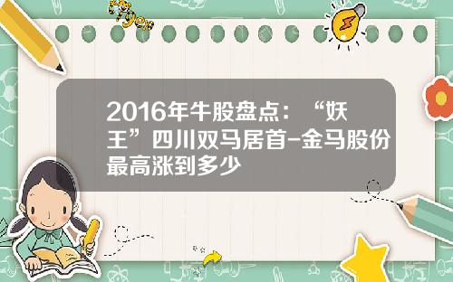 2016年牛股盘点：“妖王”四川双马居首-金马股份最高涨到多少