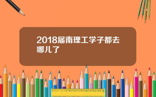 2018届南理工学子都去哪儿了