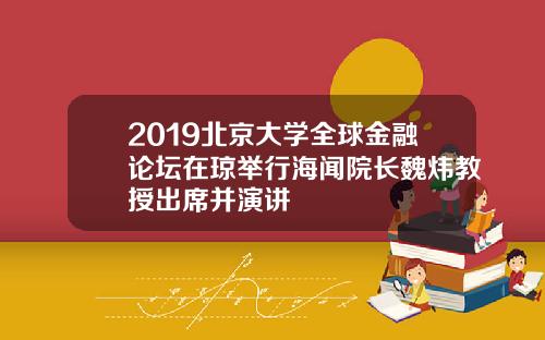 2019北京大学全球金融论坛在琼举行海闻院长魏炜教授出席并演讲