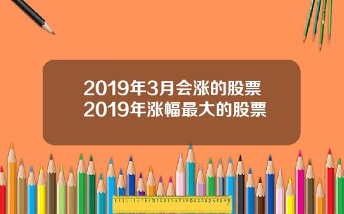 2019年3月会涨的股票2019年涨幅最大的股票