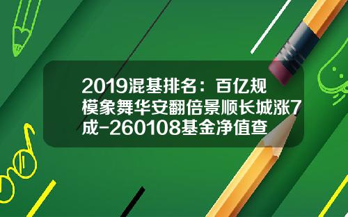 2019混基排名：百亿规模象舞华安翻倍景顺长城涨7成-260108基金净值查询