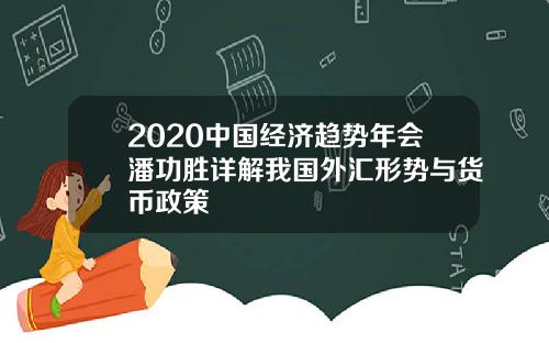 2020中国经济趋势年会潘功胜详解我国外汇形势与货币政策