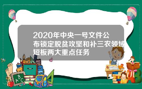 2020年中央一号文件公布锁定脱贫攻坚和补三农领域短板两大重点任务