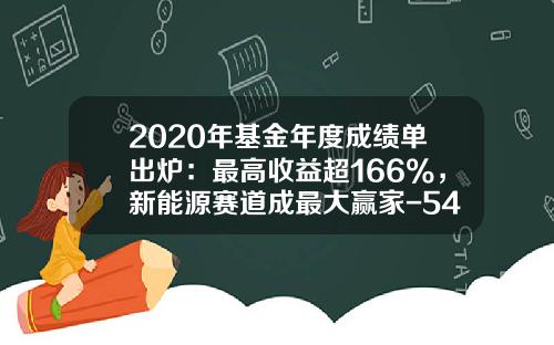 2020年基金年度成绩单出炉：最高收益超166%，新能源赛道成最大赢家-540008基金