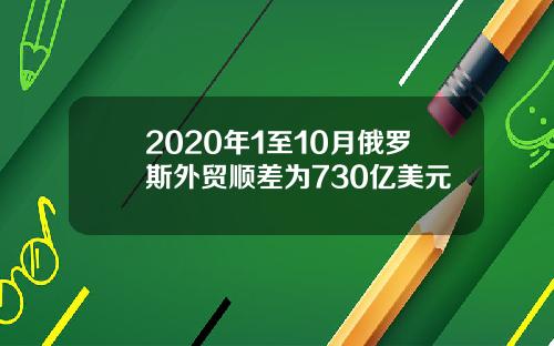 2020年1至10月俄罗斯外贸顺差为730亿美元