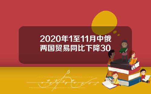 2020年1至11月中俄两国贸易同比下降30