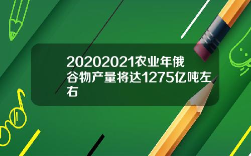 20202021农业年俄谷物产量将达1275亿吨左右